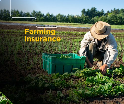 cooke fuller farming insurance march 2024