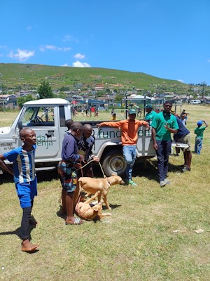 midmar vet at mpophomeni