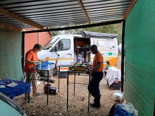 midmar vet balgowan steri clinic