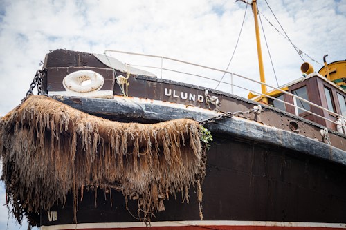 the ULUNDI boat at Whale Museum