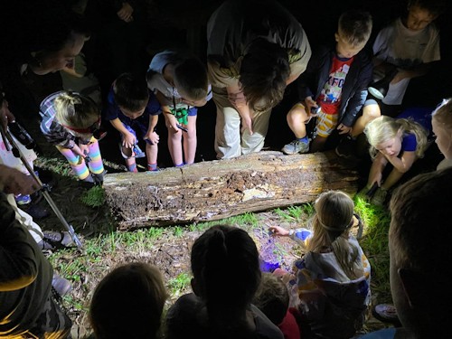 heritage hous epreschool night walk 2025 2