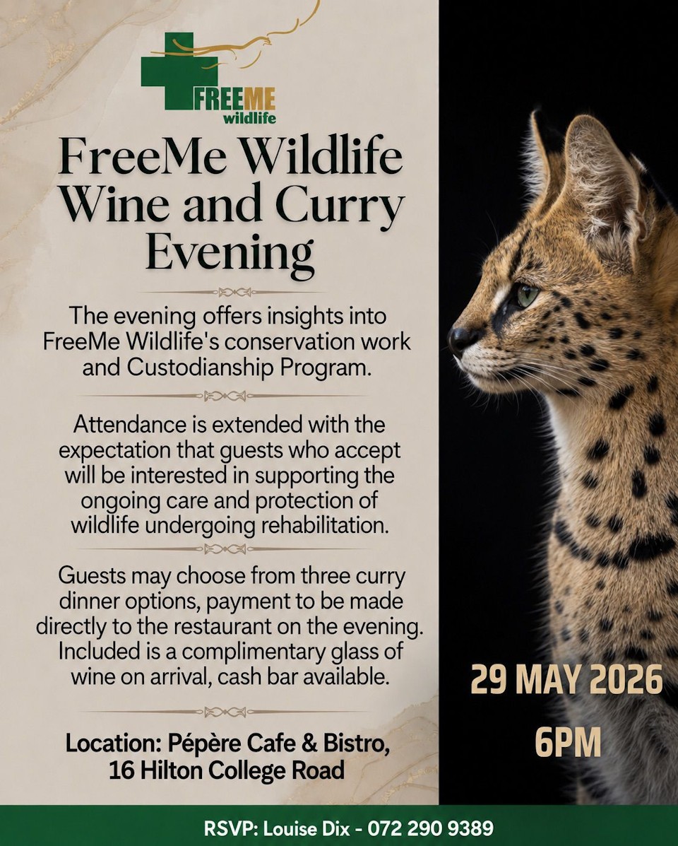 freeme curry night invite 960