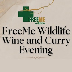 freeme curry night invite cover