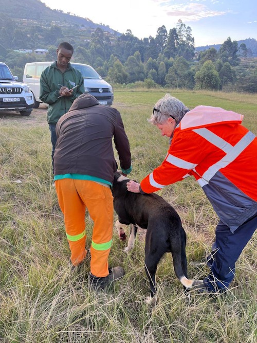 funda nenja Dr Lee rabies clinic