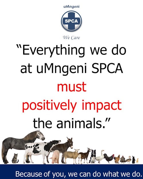 spca agm 2026