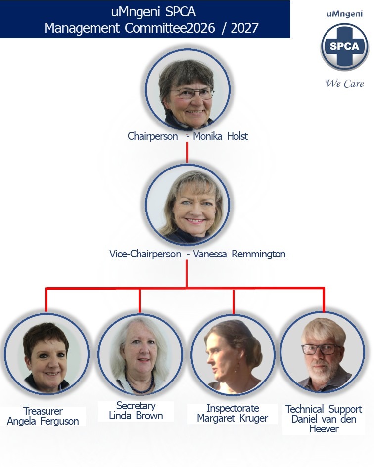 spca organogram 2026