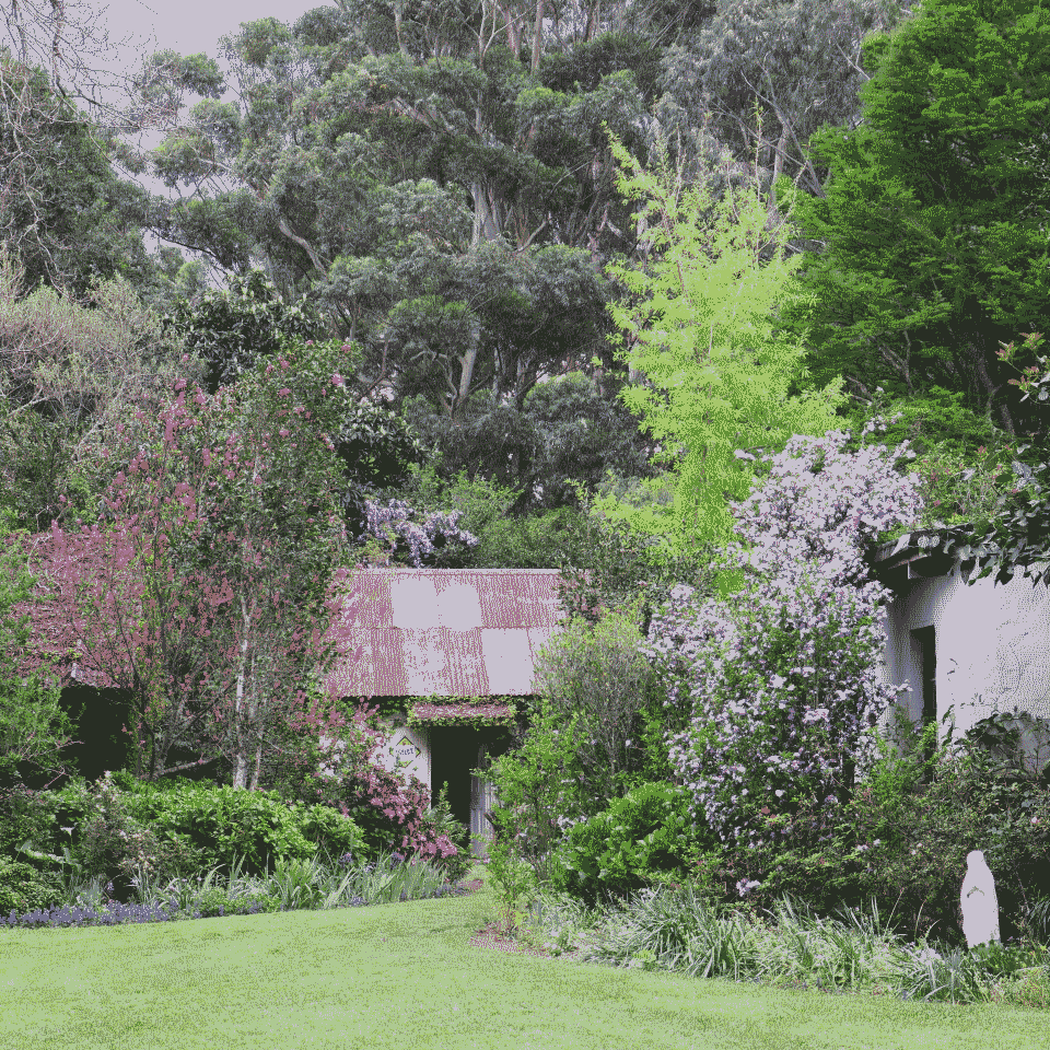 braco garden open