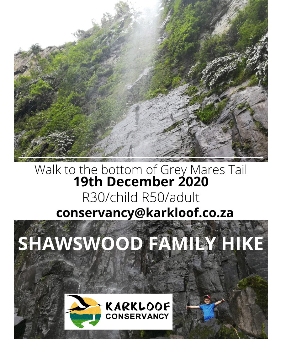 hike Grey Mares Tail