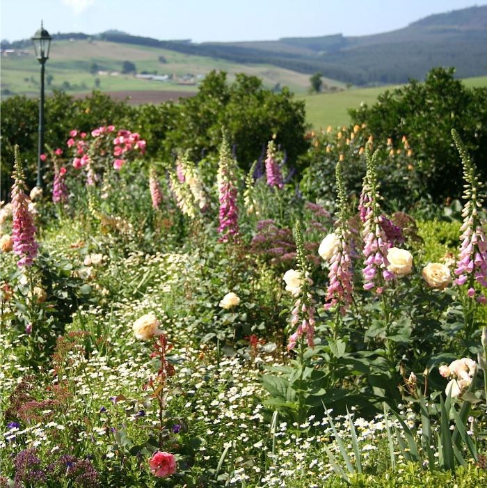 St Clements front garden