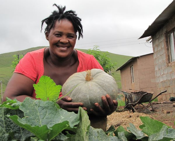 mpophomeni pumpkin event
