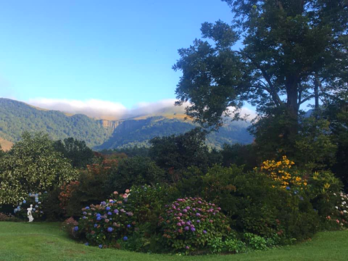 braco garden open