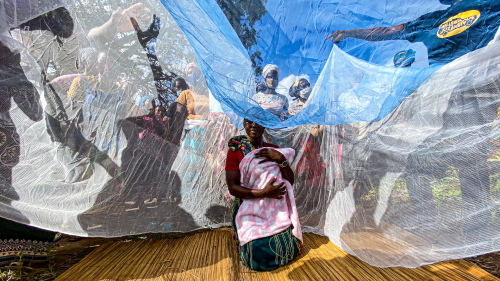 mosquito net demo kingsley holgate foundation