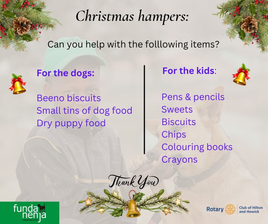 funda nenja christmas plea 2022