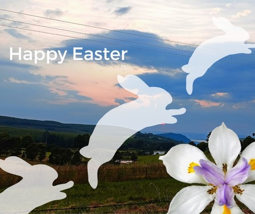 cover easter karkloof view