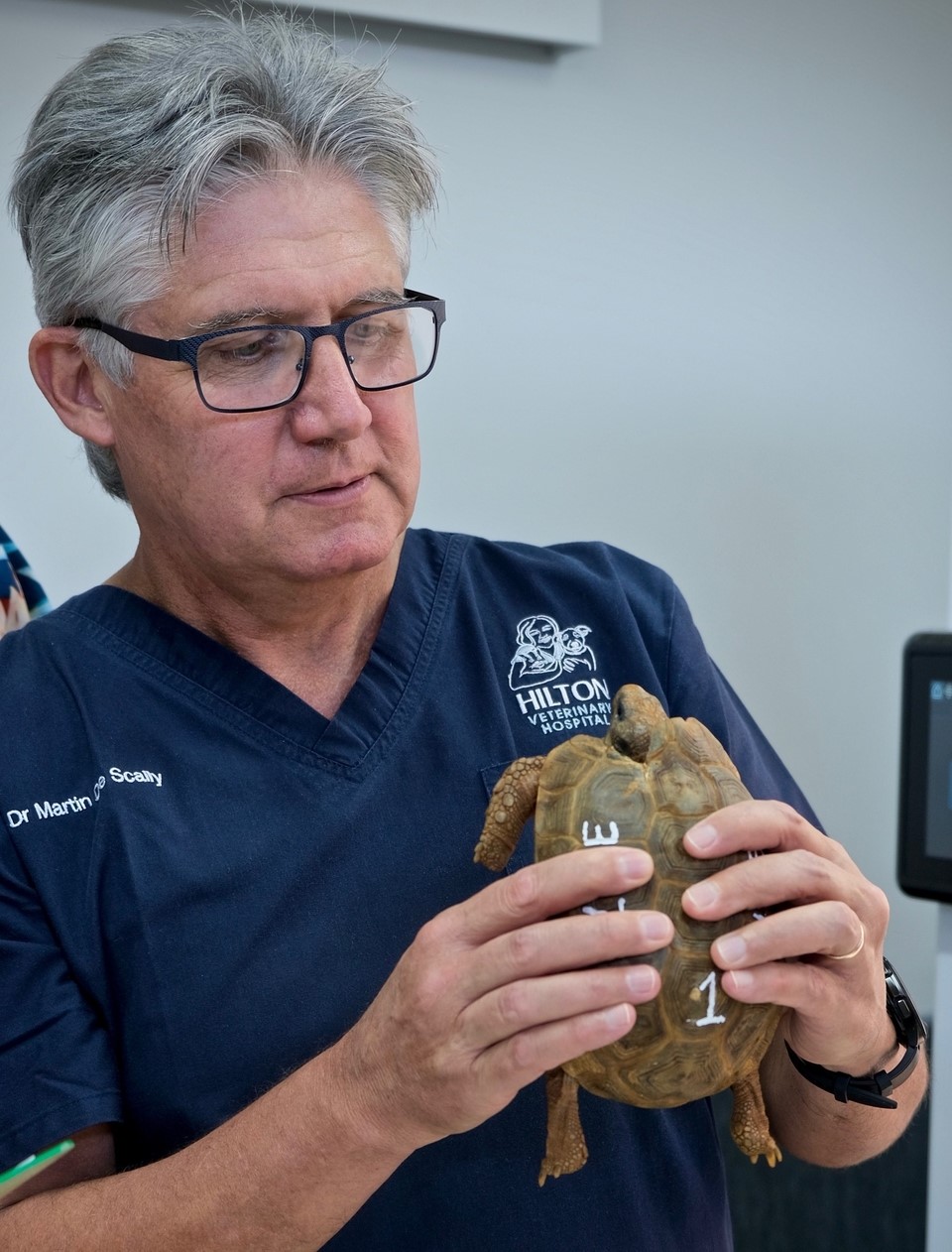 free me wildlife with hilton vet