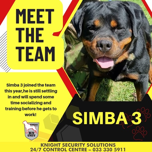 simba 3