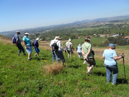 beacon hill walkers 450