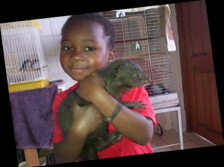 bridges of hope mongoose