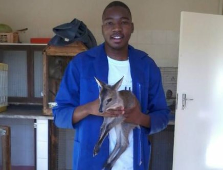 duiker 