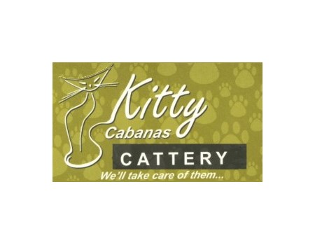 kitty  450