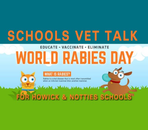 school vet talk news