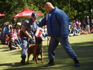 police dog