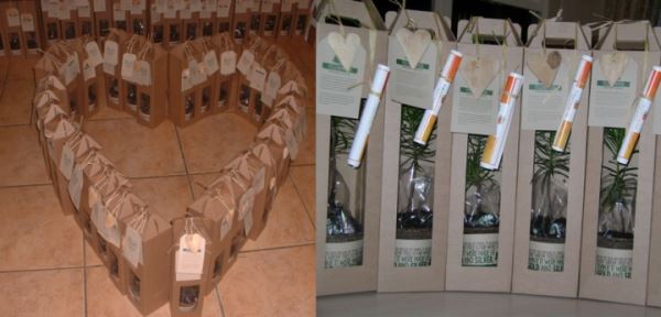 tree gift displayed