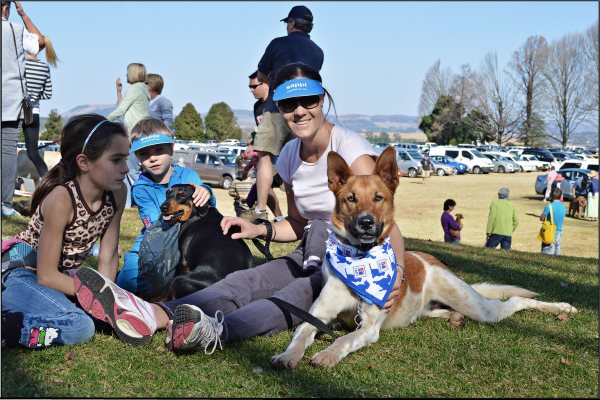 spca 1000 paws newsy