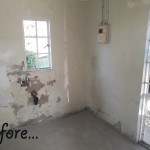 3951.jpg